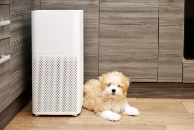 Levoit Air Purifier designed for pets: Find the best one with our reviews and recommendations