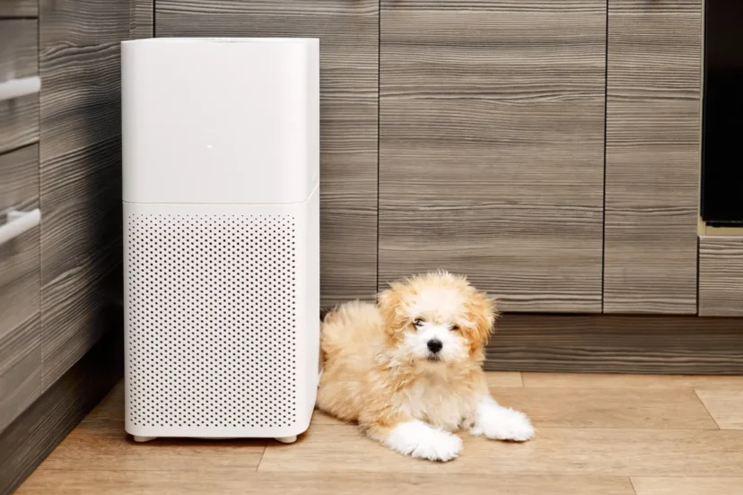 Levoit Air Purifier designed for pets: Find the best one with our reviews and recommendations