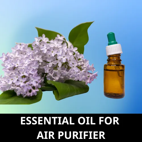 Essential oil air purifier