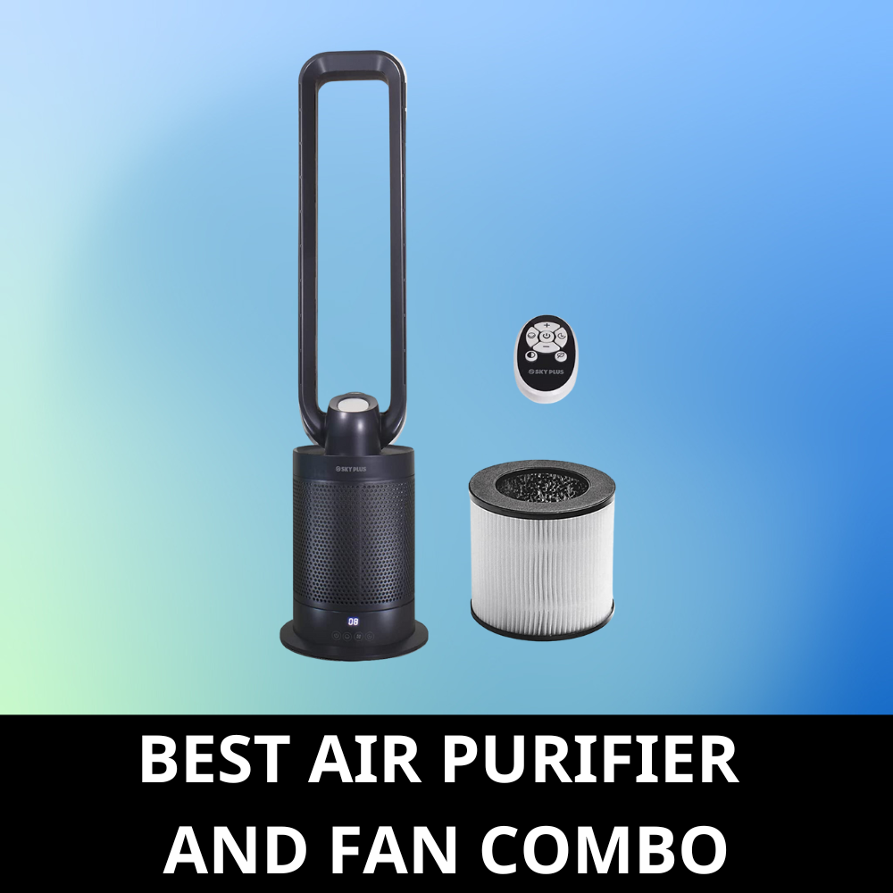 Air purifier and fan combo