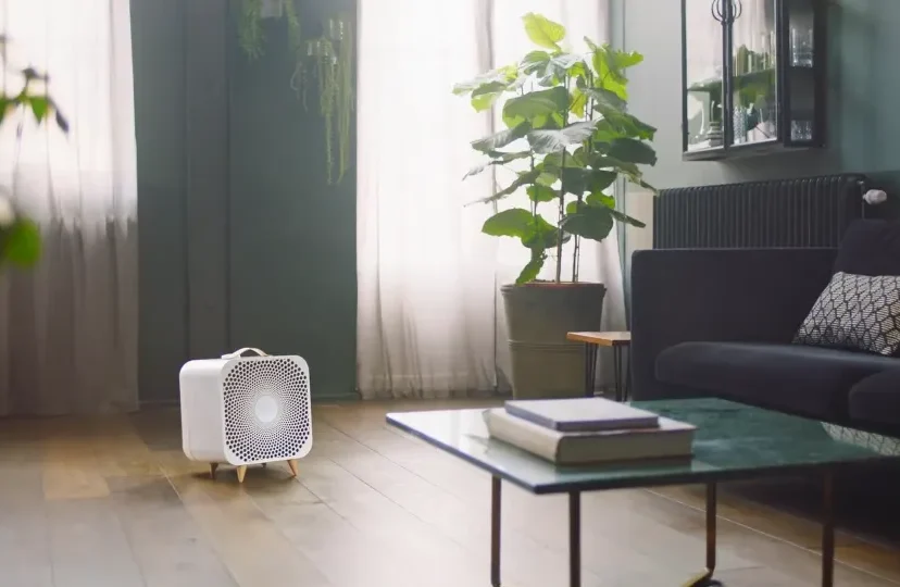 Best Air Purifier and Fan Combos