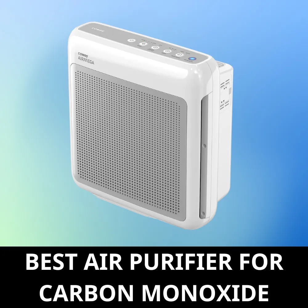 Air purifiers for carbon monoxide
