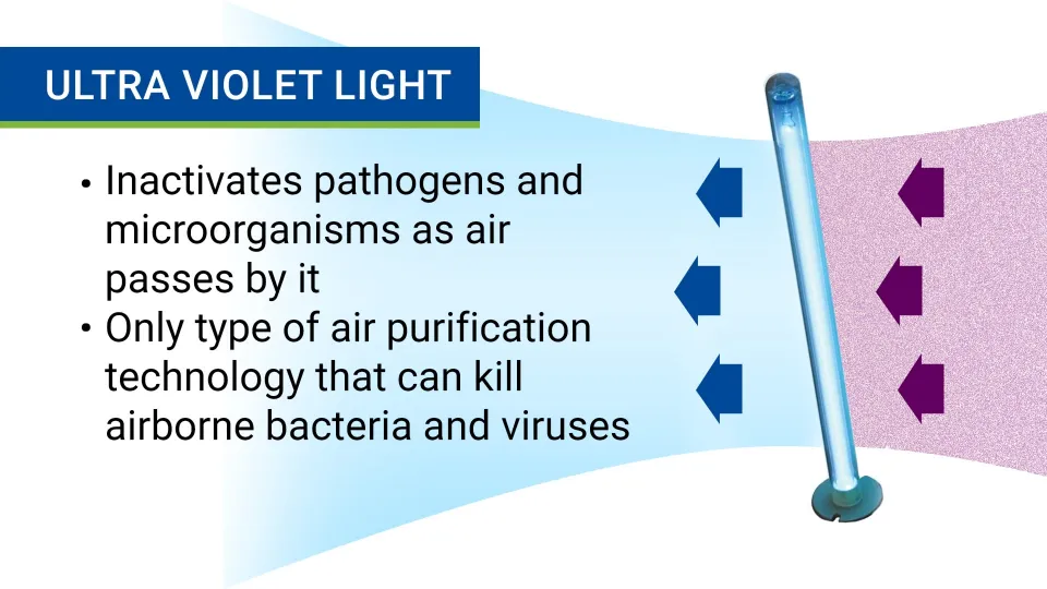 UV light filter eliminating microorganisms in an air purifier	