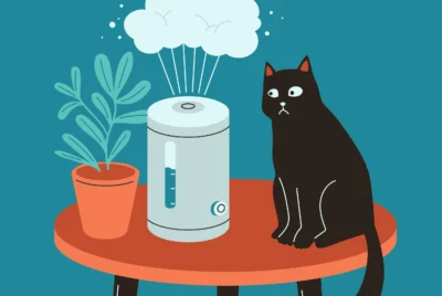 Air purifier eliminating cat pee odor