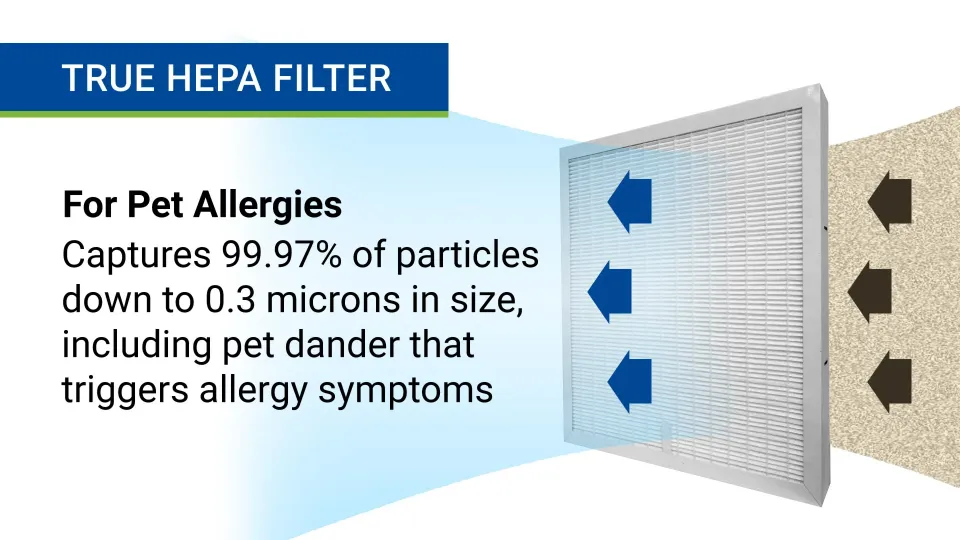 True HEPA Filter capturing pet allergy particles