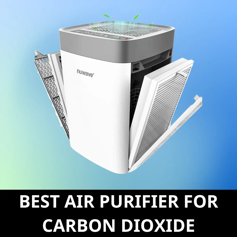Air purifier for carbon dioxide