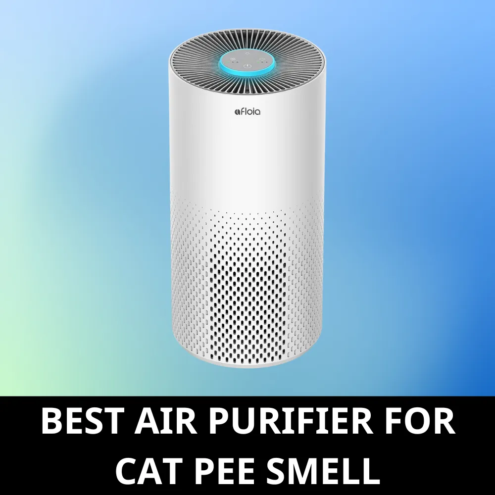 Air purifier for cat pee smell