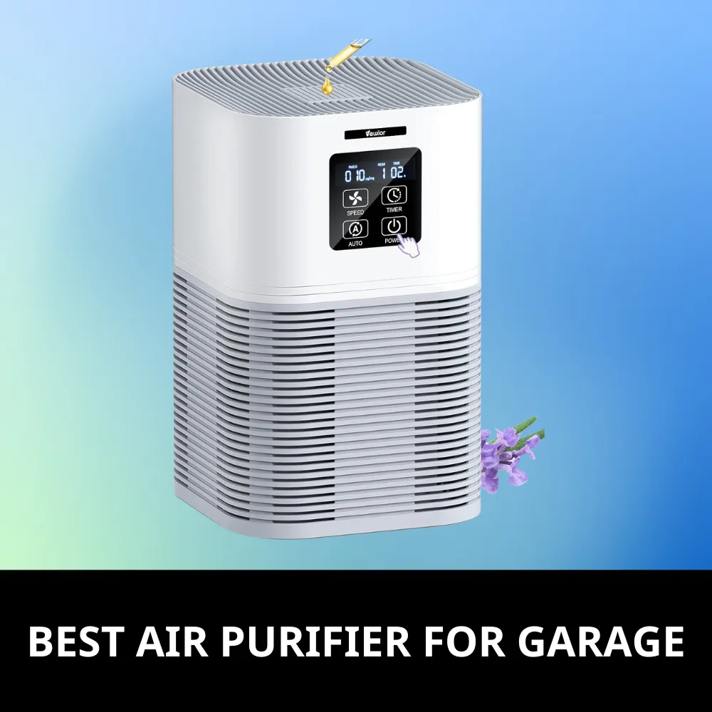 Air purifier for garage