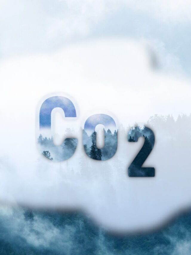 Can Air Purifiers Eliminate CO2? Surprising Answer