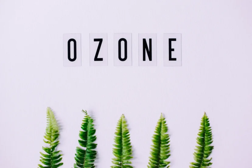 Ozone-free air purifier showcasing gold standard