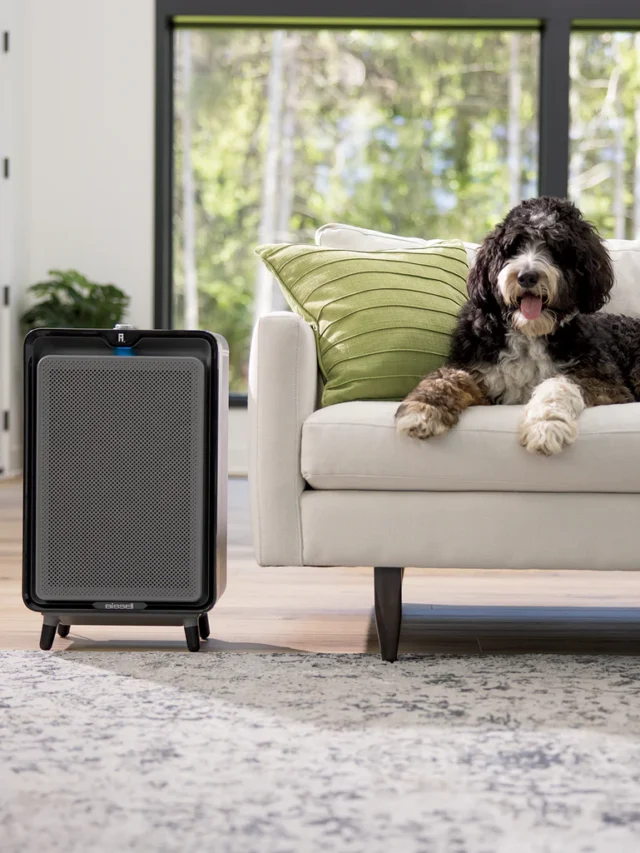 9 Fascinating Insights about Bissell Air220 Air Purifier