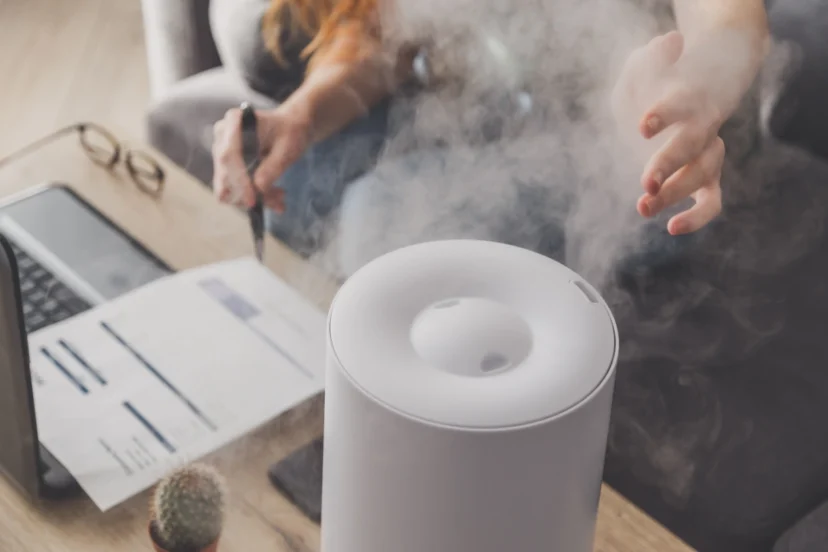 Air purifiers eliminating household odors