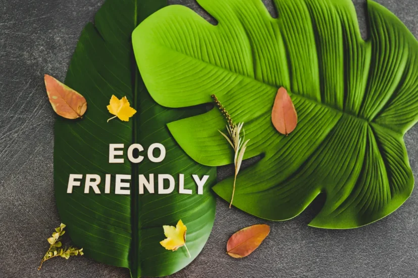 Air purifiers promoting eco-friendly and green living