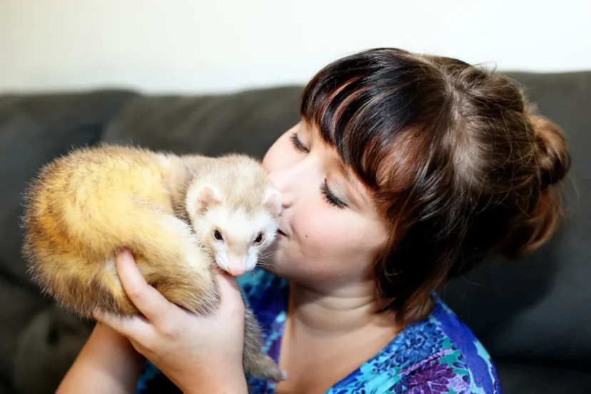 Young girl bonding with her pet ferret
