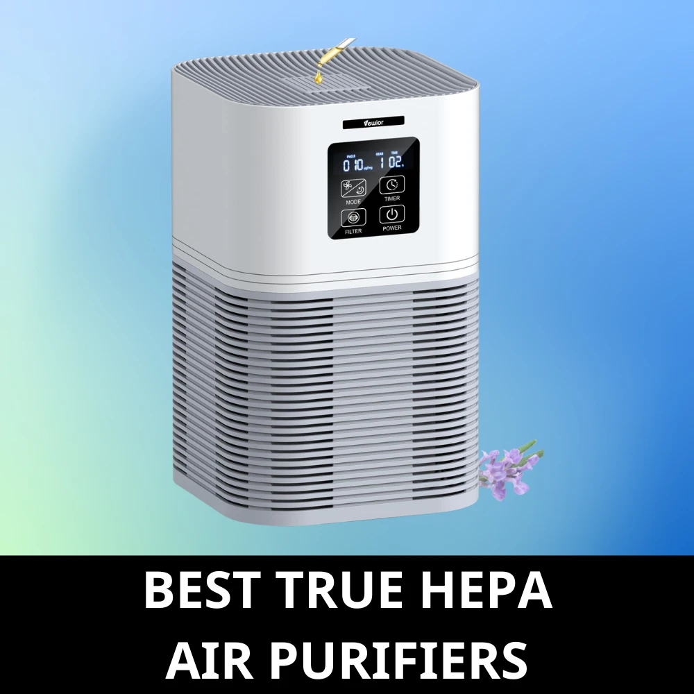 best air purifier true hepa